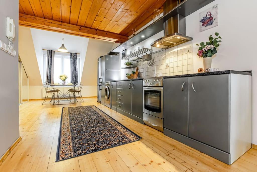 Utulny A Prostorny Podkrovni Byt S Krbovymi Kamny Ceske Budejovice Exterior foto