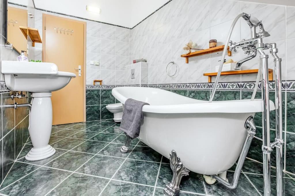 Utulny A Prostorny Podkrovni Byt S Krbovymi Kamny Ceske Budejovice Exterior foto